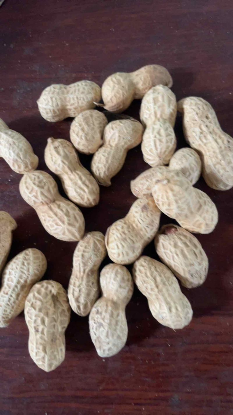 电商铁锅炒花生支持一件貸发原味花生