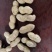 电商铁锅炒花生支持一件貸发原味花生