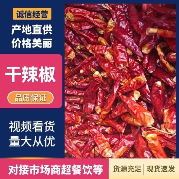 三樱八号下通花皮干辣椒量大货足保质保量大吨位供应