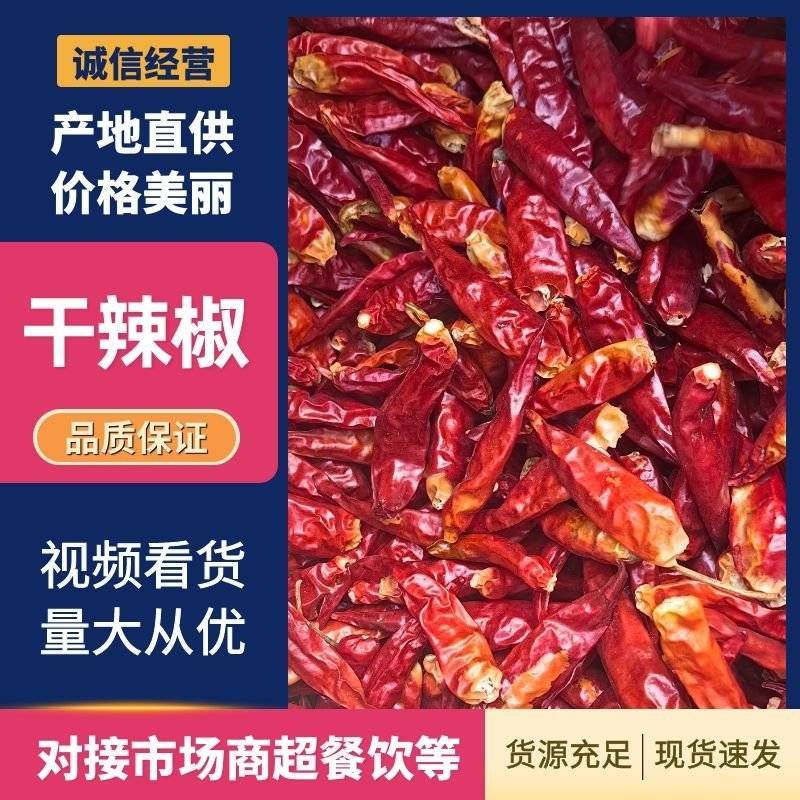 三樱八号下通花皮干辣椒量大货足保质保量大吨位供应