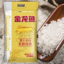 10斤装24年金龙鱼黑土金谷长粒香米5kg/袋东北大米煮
