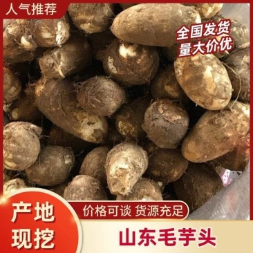 山东毛芋头产地直供品质保证价格美丽欢迎合作共赢！