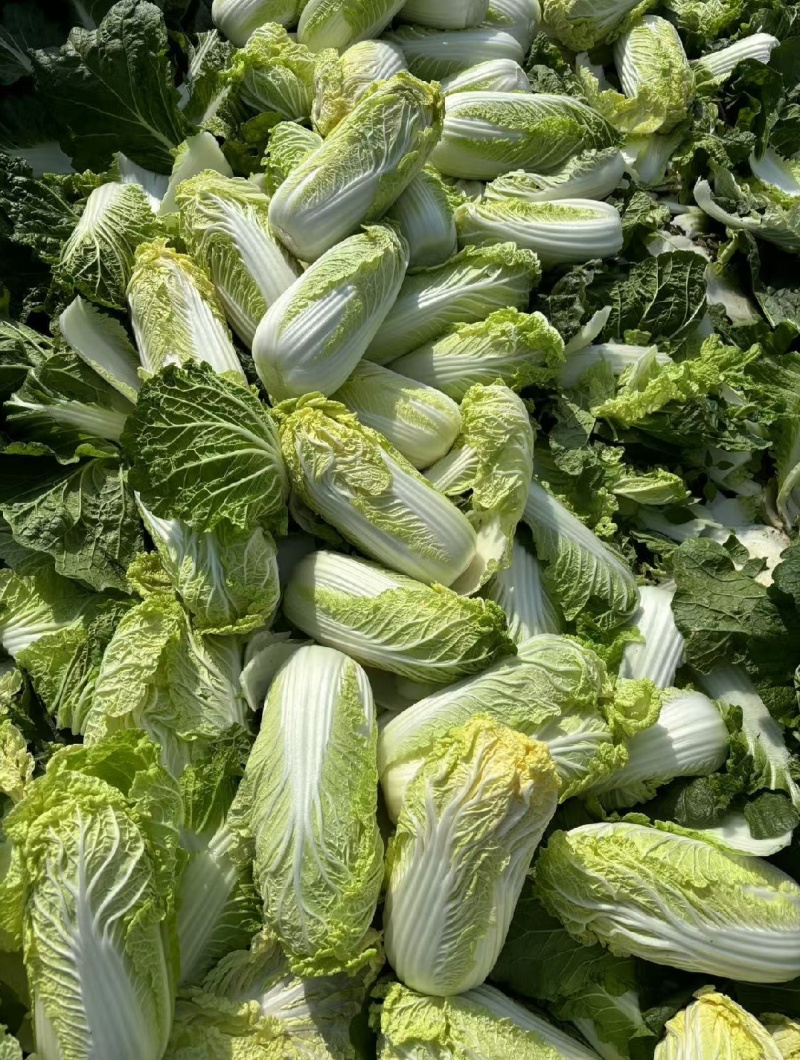 娃娃菜商超**物美价廉
