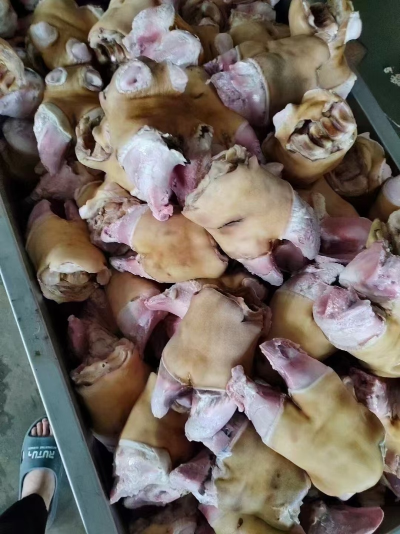 火烧毛牛角掌