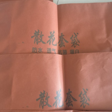 菜花松花散花纸袋