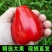 红宝石莲雾果现摘新鲜黑珍珠应季热带水果莲雾海南特产整箱包