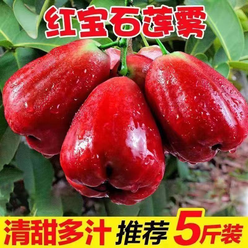 红宝石莲雾果现摘新鲜黑珍珠应季热带水果莲雾海南特产整箱包