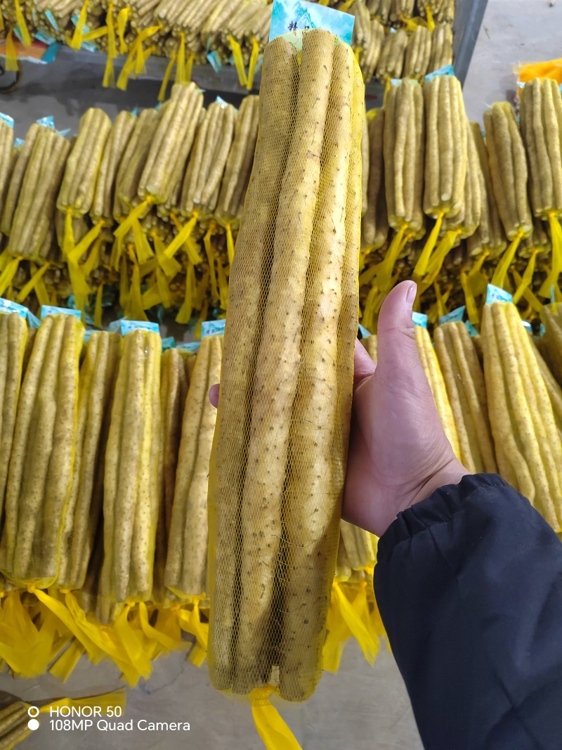麻山药