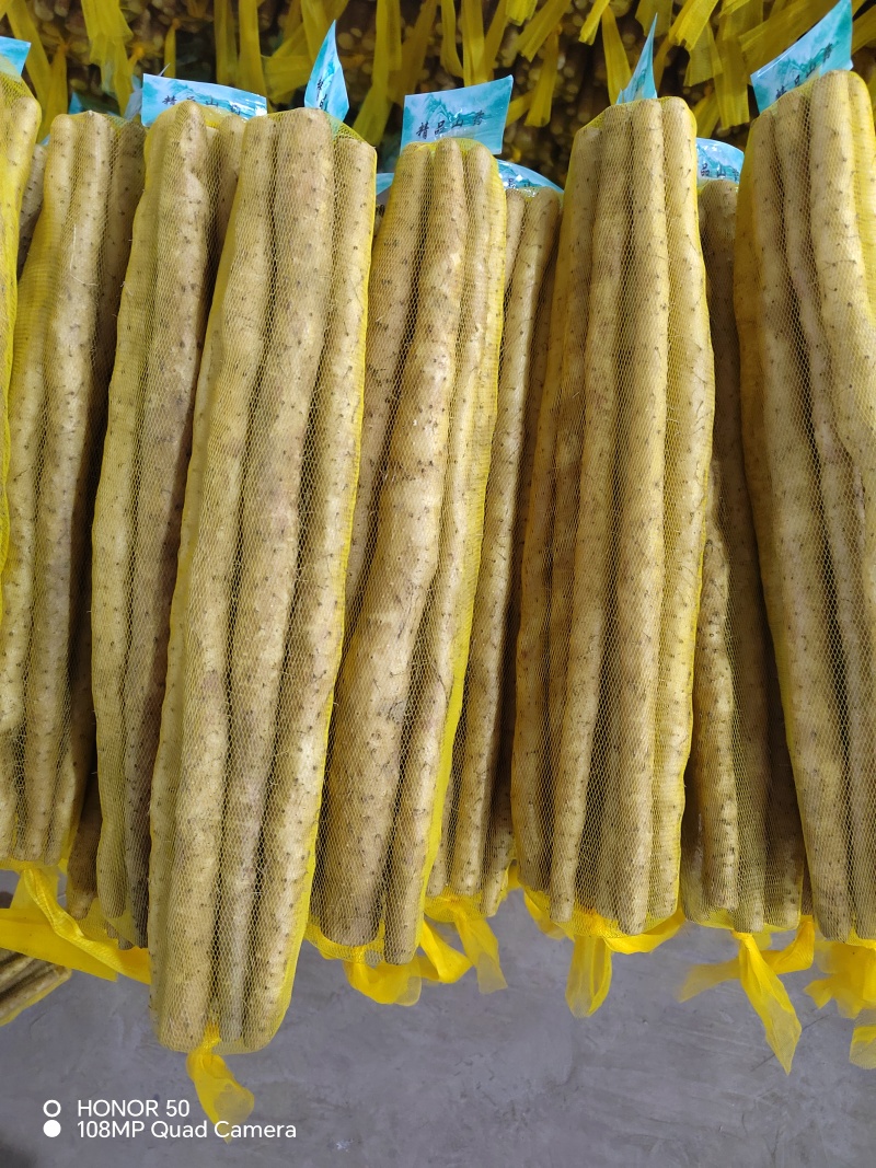 麻山药