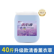 宾馆酒店大桶洗衣液整箱批家用商用散装干洗店洗衣液大桶装