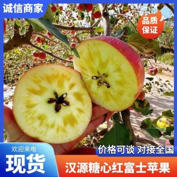 汉源糖心红富士，糖心苹果，口感好，电商果市场果大量供应