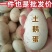 新鲜土鹅蛋现拾现发农家土鹅蛋批发整箱鹅蛋土鹅蛋包邮