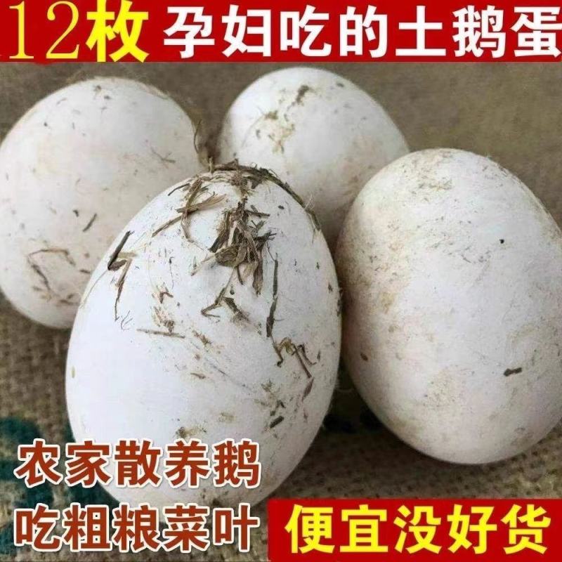 新鲜土鹅蛋现拾现发农家土鹅蛋批发整箱鹅蛋土鹅蛋包邮
