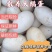 新鲜土鹅蛋现拾现发农家土鹅蛋批发整箱鹅蛋土鹅蛋包邮