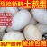 新鲜土鹅蛋现拾现发农家土鹅蛋批发整箱鹅蛋土鹅蛋包邮