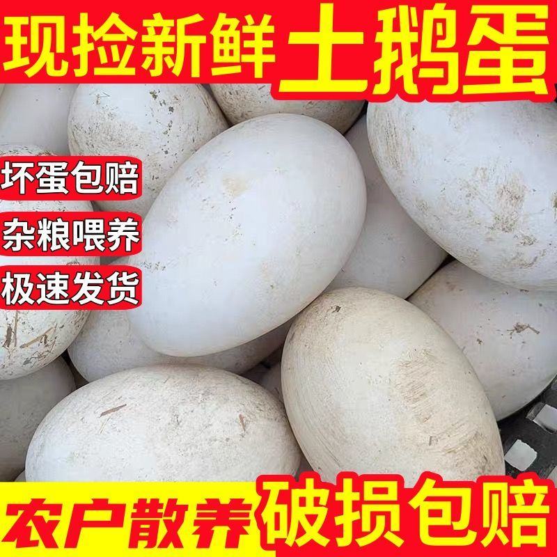 新鲜土鹅蛋现拾现发农家土鹅蛋批发整箱鹅蛋土鹅蛋包邮