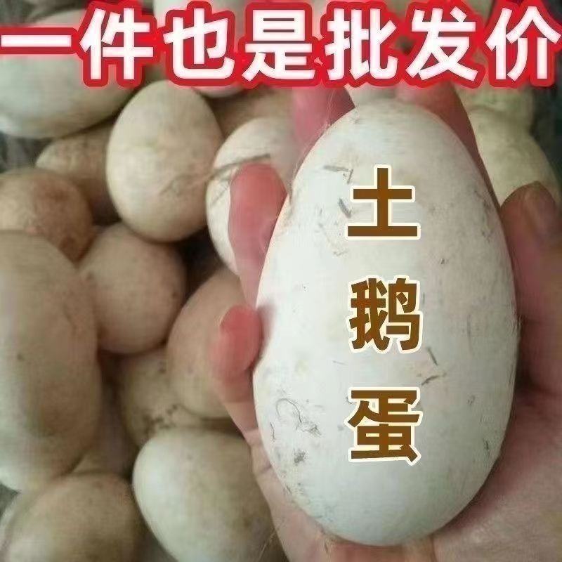 新鲜土鹅蛋现拾现发农家土鹅蛋批发整箱鹅蛋土鹅蛋包邮