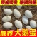 新鲜土鹅蛋现拾现发农家土鹅蛋批发整箱鹅蛋土鹅蛋包邮