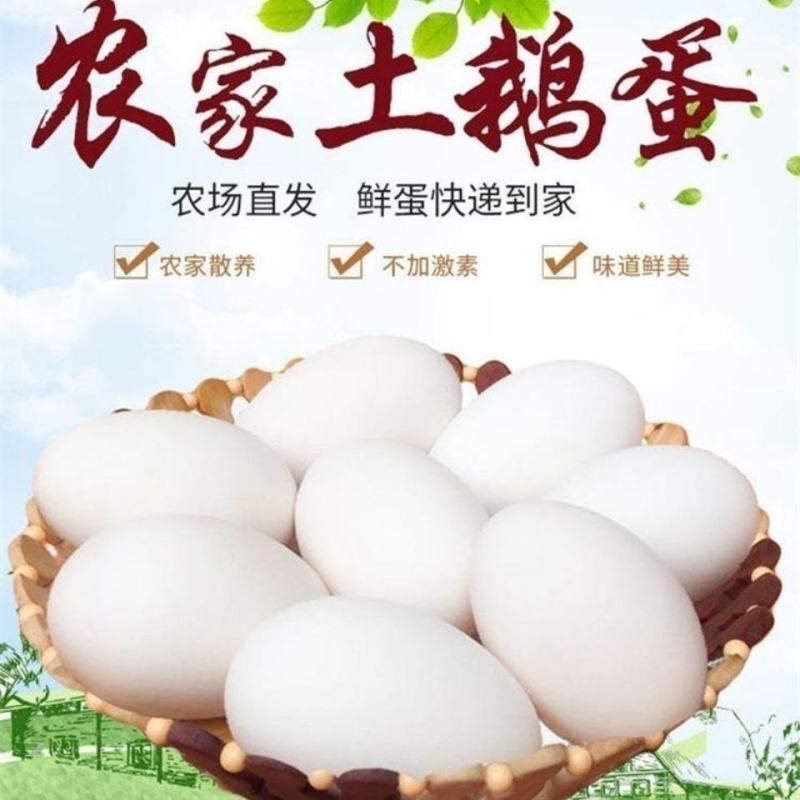 新鲜土鹅蛋现拾现发农家土鹅蛋批发整箱鹅蛋土鹅蛋包邮