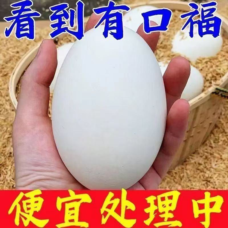 【破损包赔】农家散养土鹅蛋新鲜现捡土鹅蛋批发整箱土鹅蛋