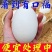 【破损包赔】农家散养土鹅蛋新鲜现捡土鹅蛋批发整箱土鹅蛋