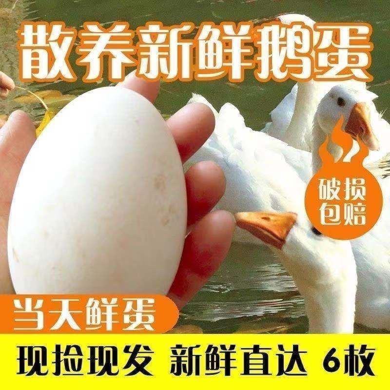 【坏蛋包赔】散养农家土鹅蛋自养土鹅蛋批发一箱孕妇宝宝吃