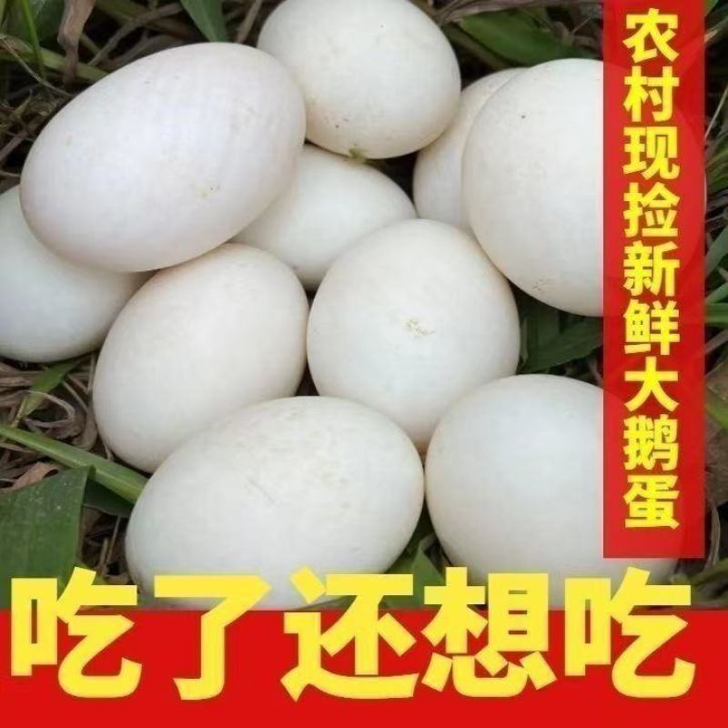 【坏蛋包赔】散养农家土鹅蛋自养土鹅蛋批发一箱孕妇宝宝吃