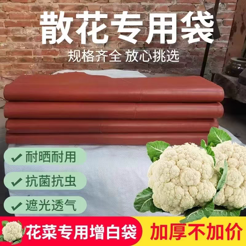 松花散花菜花纸袋