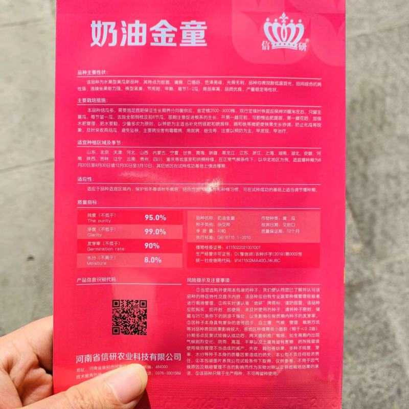 信研水果黄瓜种子大全迷你黄瓜金童玉女种子脆甜黄瓜种籽阳台