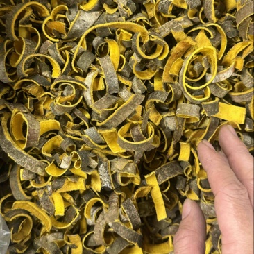 黄柏规格齐全品质好价格低可批量可零售