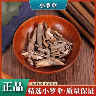 正品中药材小罗伞广西无硫朱砂根干货野生草药500克包邮可