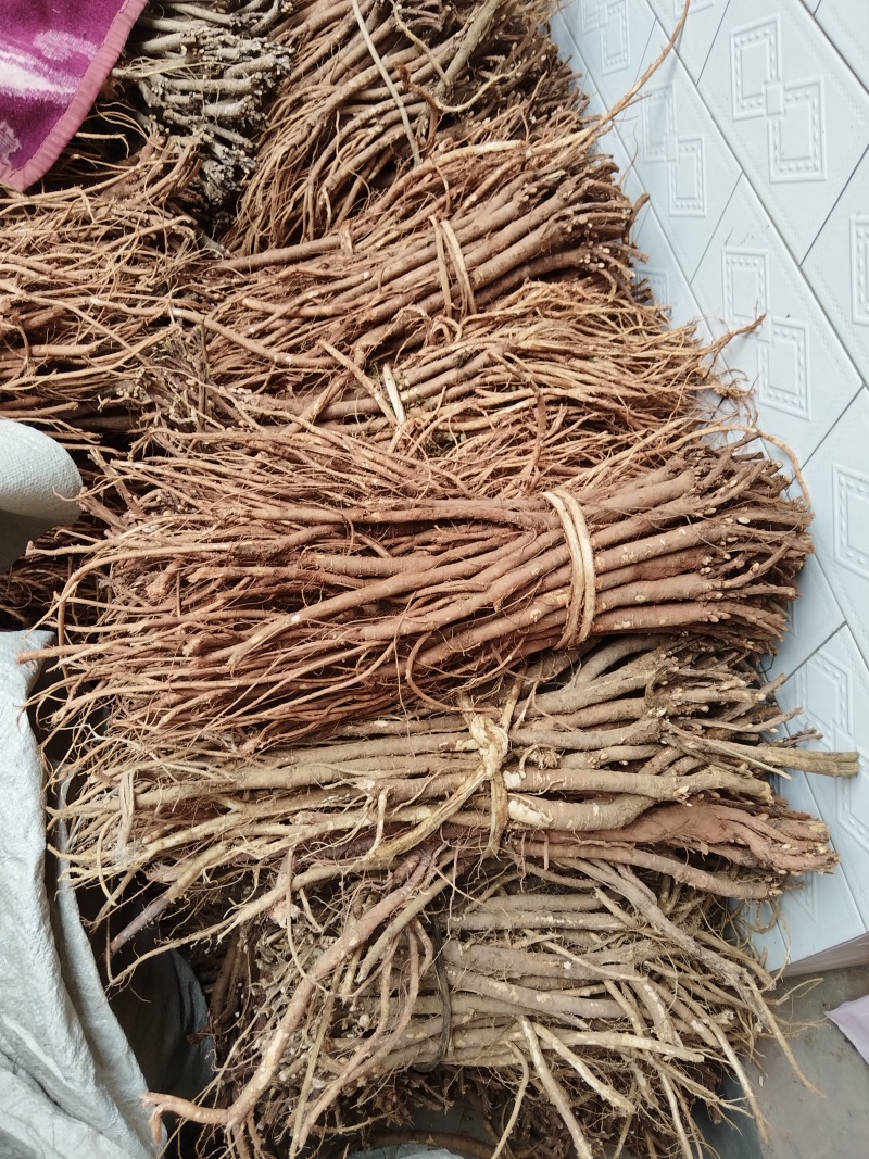 甘肃红芪成品干货