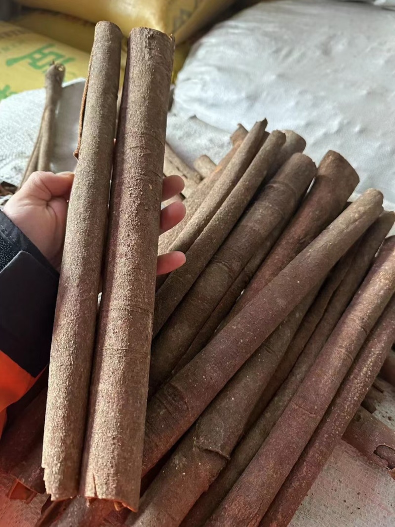 桂皮/广西老树桂皮/肉头厚/香味浓/精选好货/全国包邮