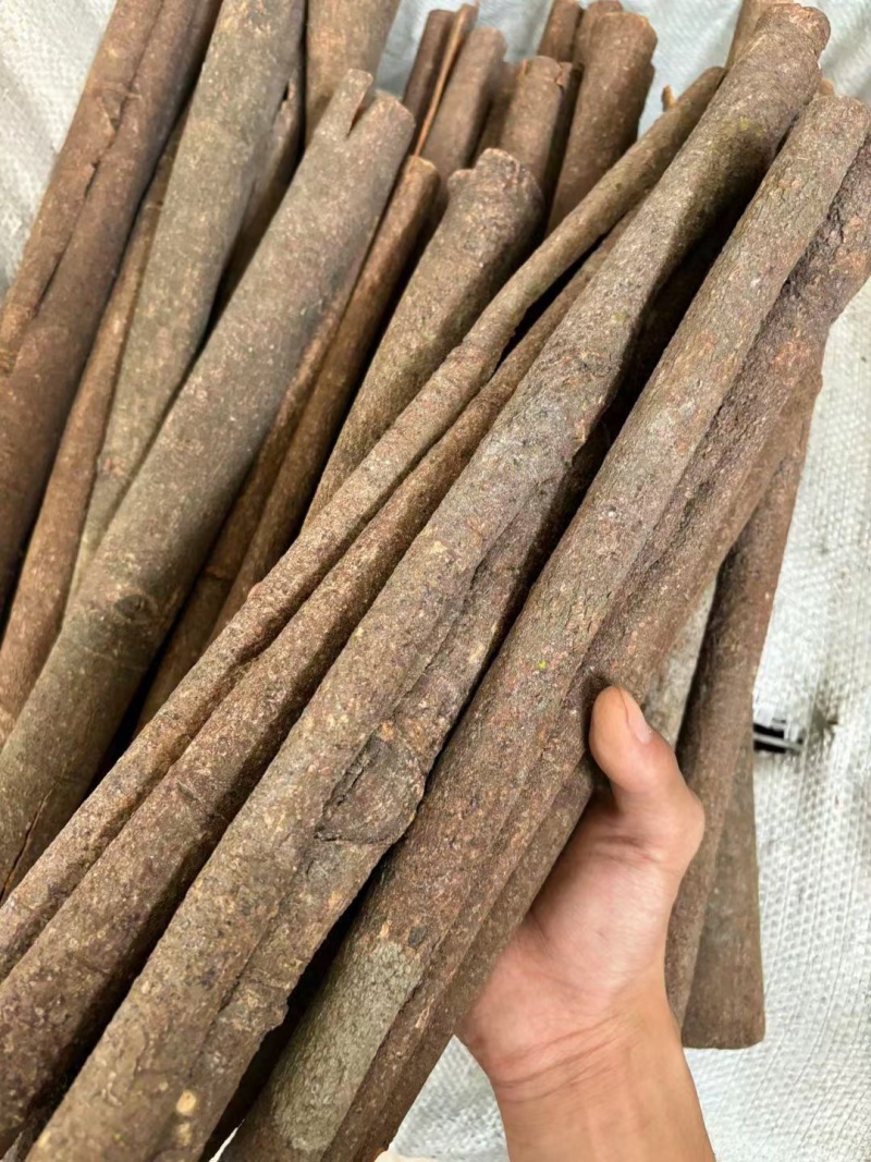 桂皮/广西老树桂皮/肉头厚/香味浓/精选好货/全国包邮