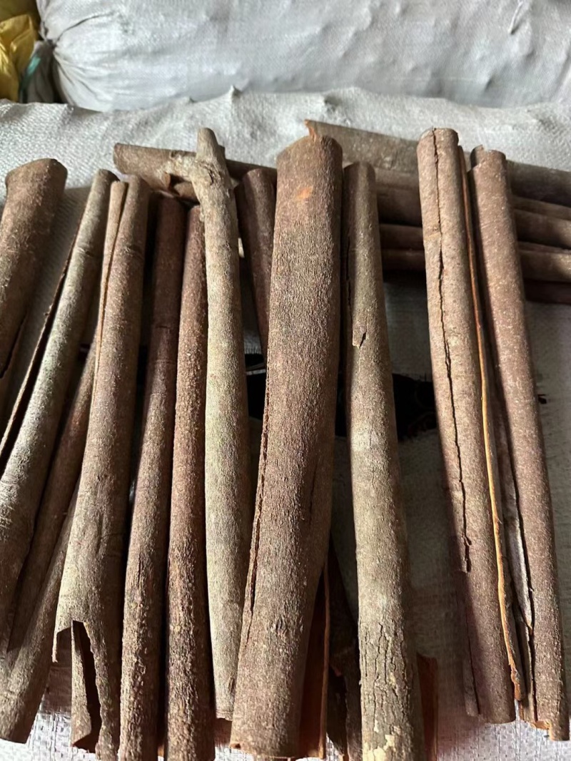 桂皮/广西老树桂皮/肉头厚/香味浓/精选好货/全国包邮