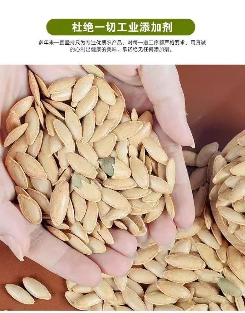 南瓜子批发现炒