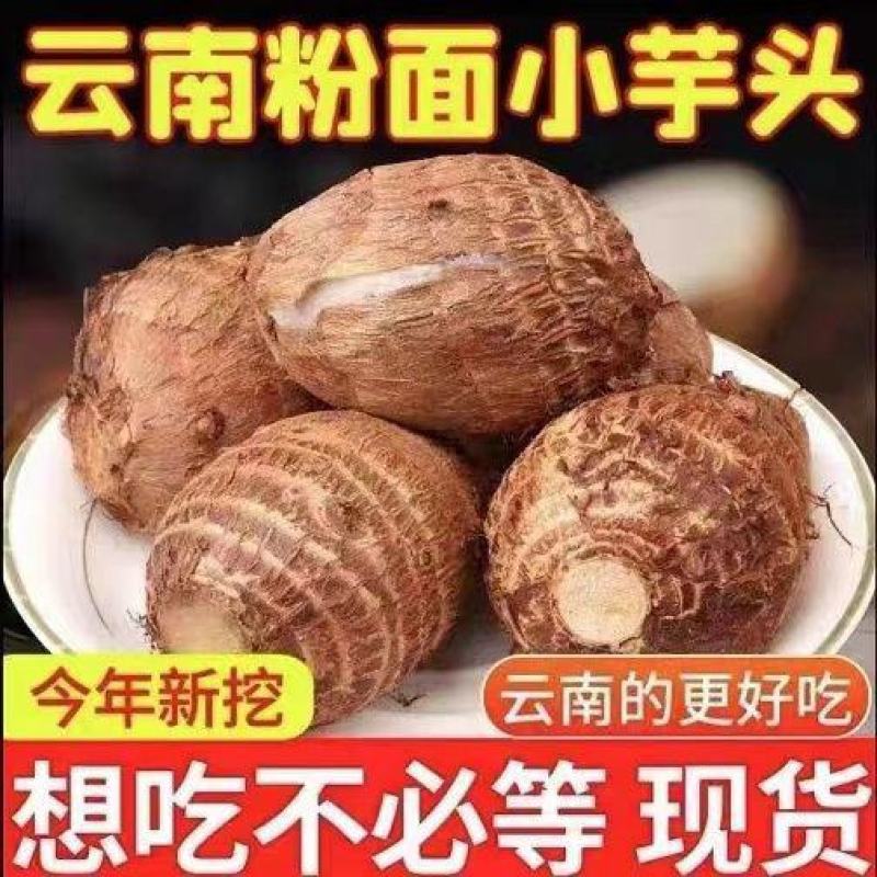 毛芋头芋头云南毛芋头产地货源价格实惠全国档口市场商超