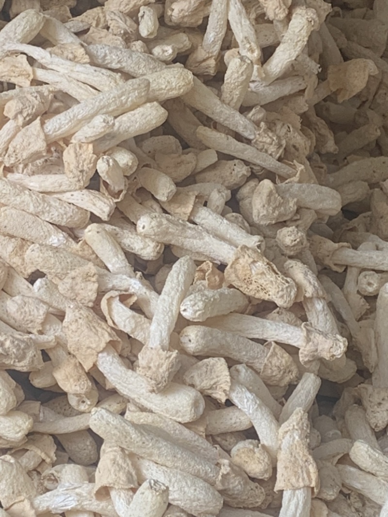 本店铺诚信经营，精品竹荪等农产品规格齐全，货源充足，