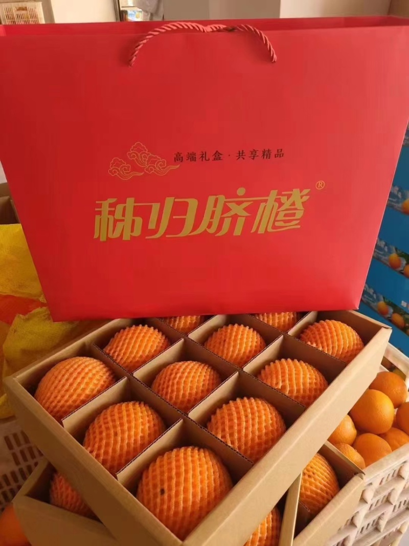 【九月红脐橙】湖北产地直发货源充足全国发货品质保障