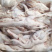 新鲜现杀冰鲜乳鸭（BB鸭）妙龄鸭0.9-1.2斤