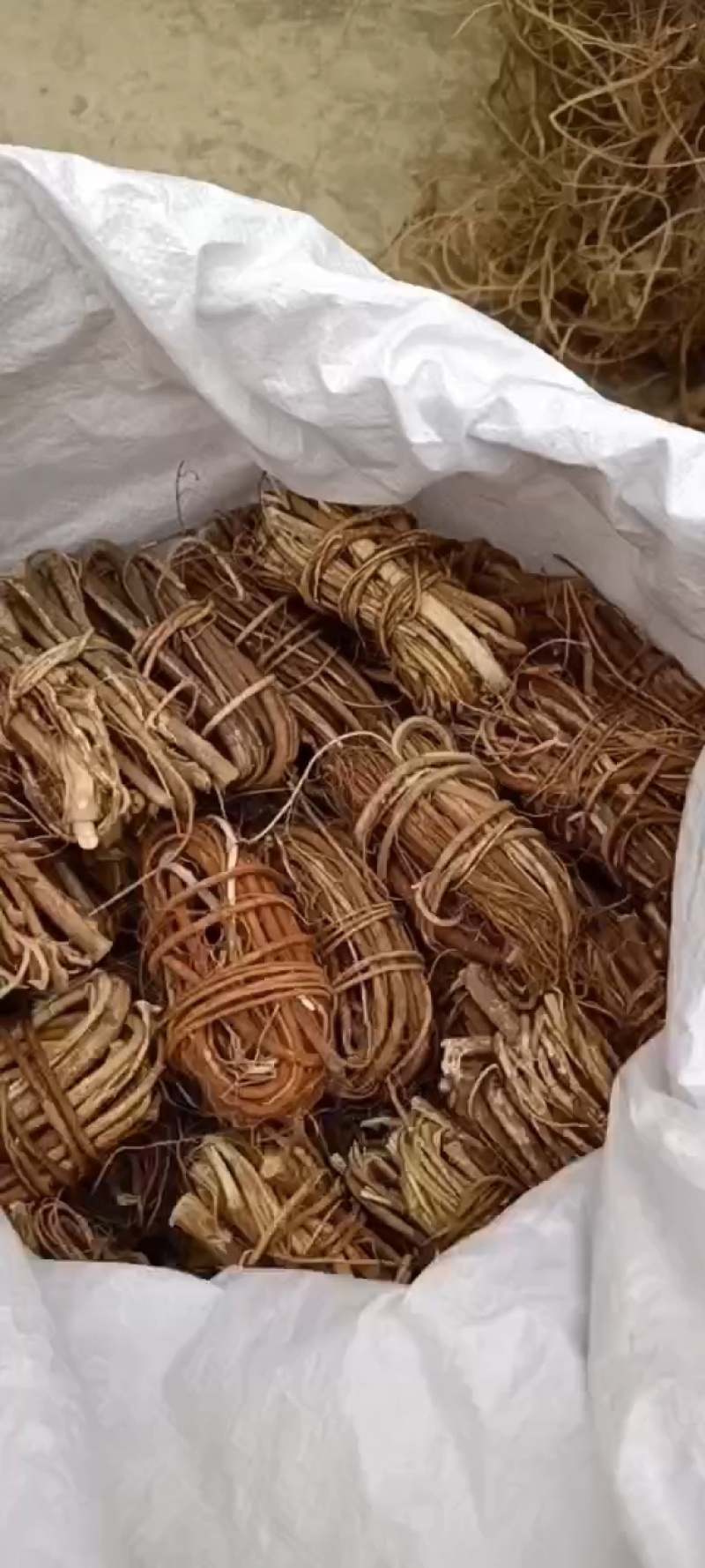 野生无硫磺五指毛桃，产地直发，诚信经营，欢迎客商来电