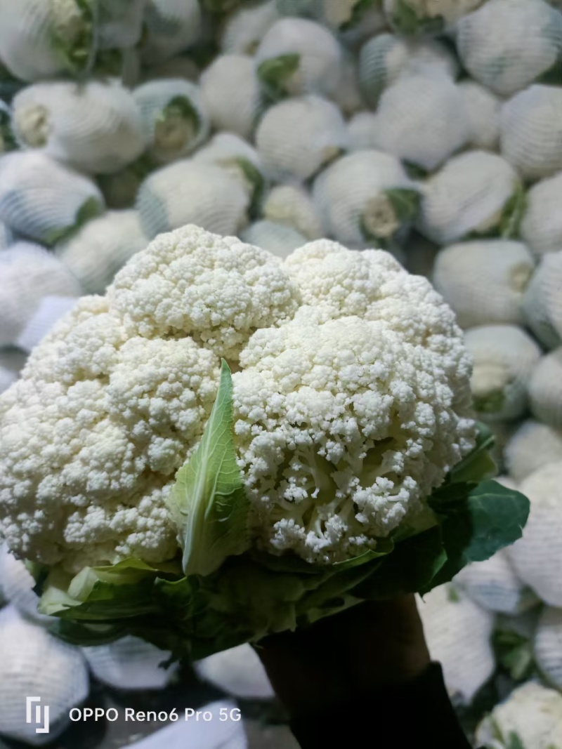 精品散花