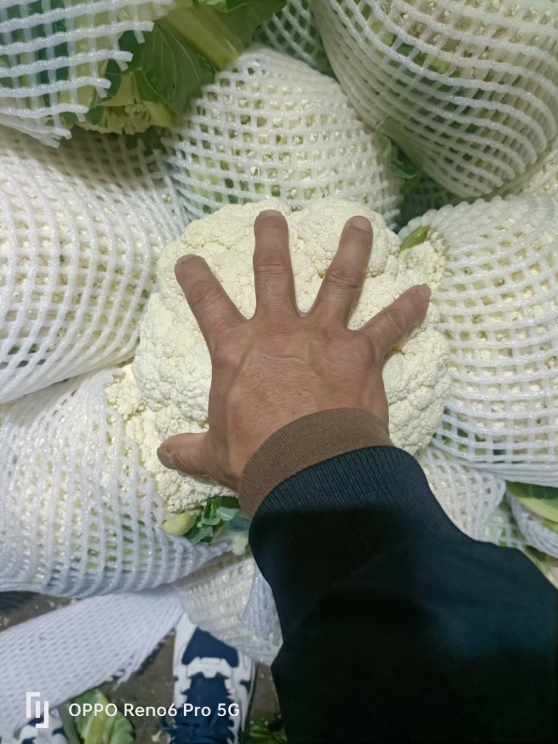 精品散花