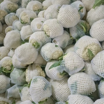 精品散花