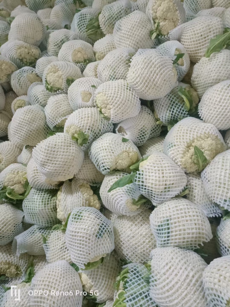 精品散花