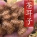 野生苍耳子新鲜采摘新货现发量大从优无污染无添加