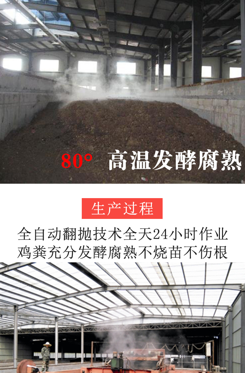 精品发酵鸡粪高效有机肥料长期稳定供货鸡粪肥