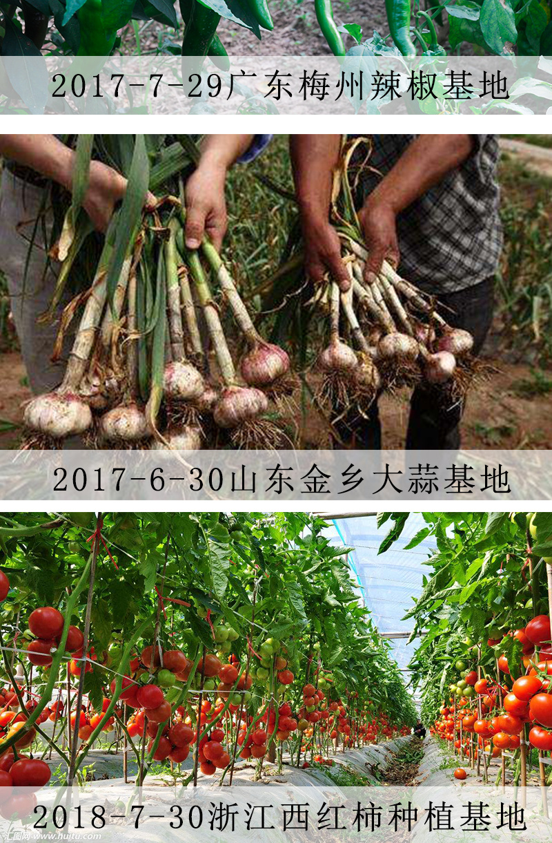 精品发酵鸡粪高效有机肥料长期稳定供货鸡粪肥