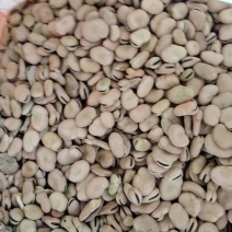 胡豆