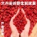 散装野玫瑰果玫瑰大兴安岭野生刺玫果蔷薇果子新货晾晒